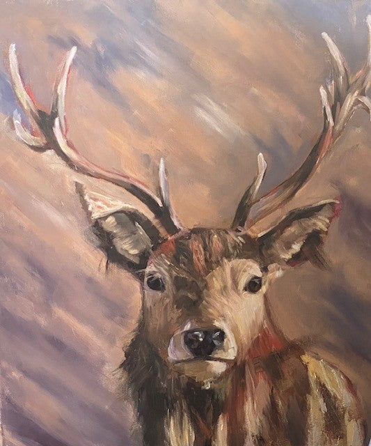 Stag in colour